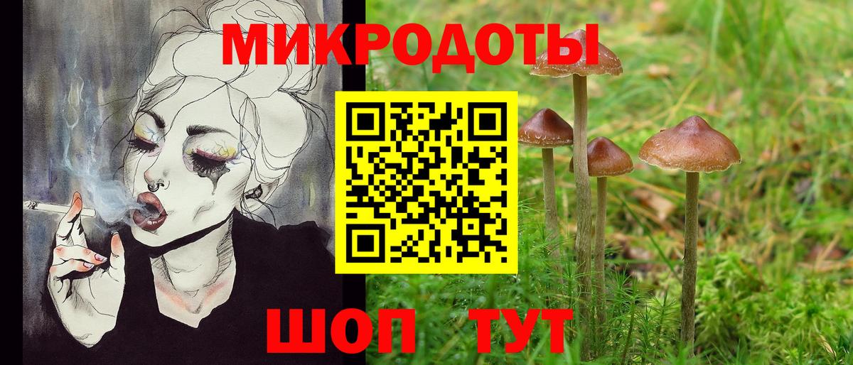 Протвино  Галлюциногенные грибы MAGIC MUSHROOMS  Галлюциногенные грибы MAGIC MUSHROOMS  Вход с VPN 